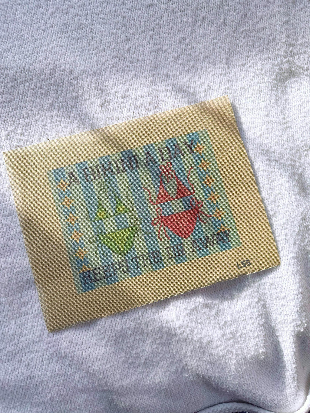 A Bikini a Day Keeps the Dr Away 18 Mesh Hand Painted Canvas