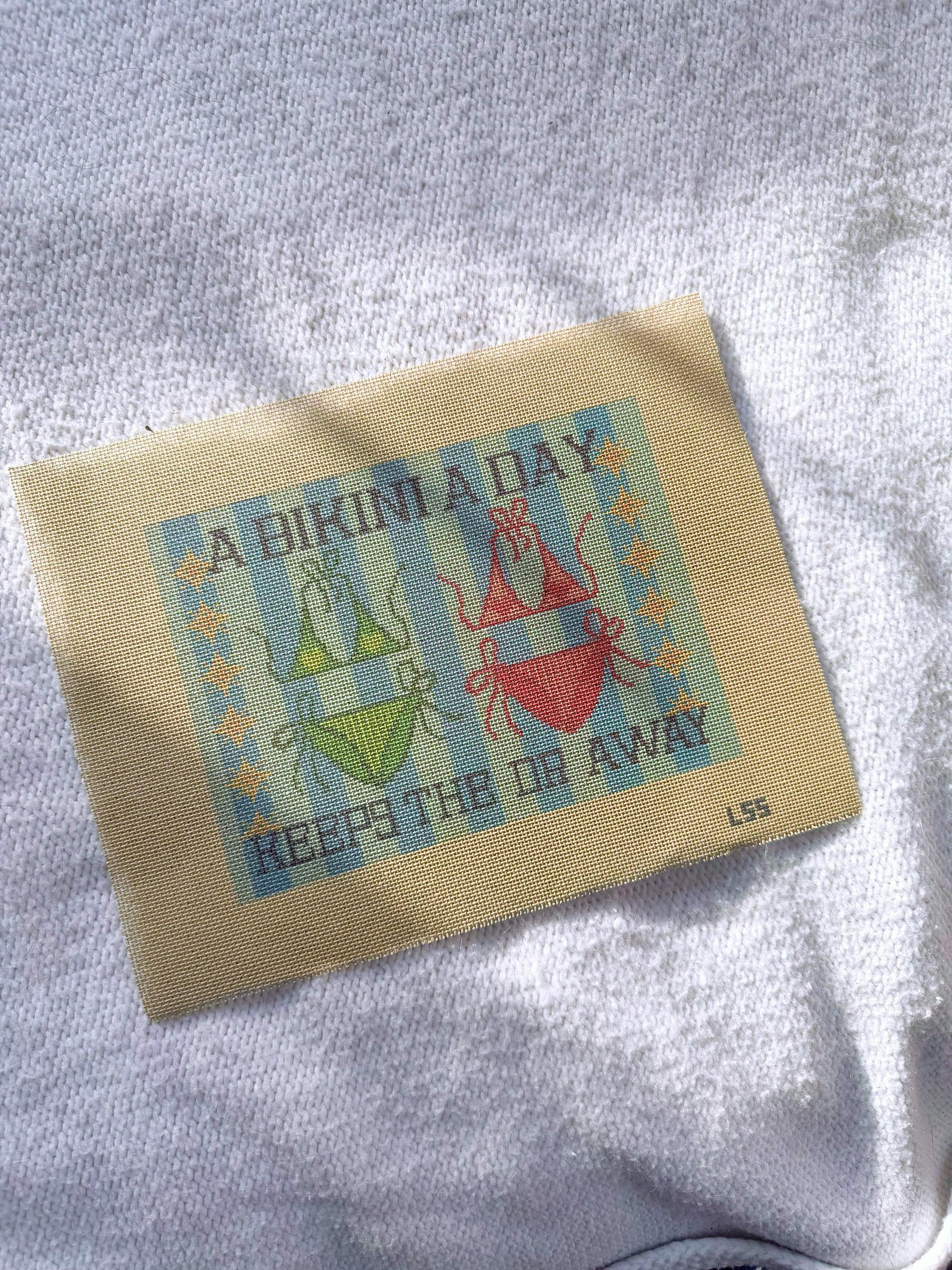 A Bikini a Day Keeps the Dr Away 18 Mesh Hand Painted Canvas