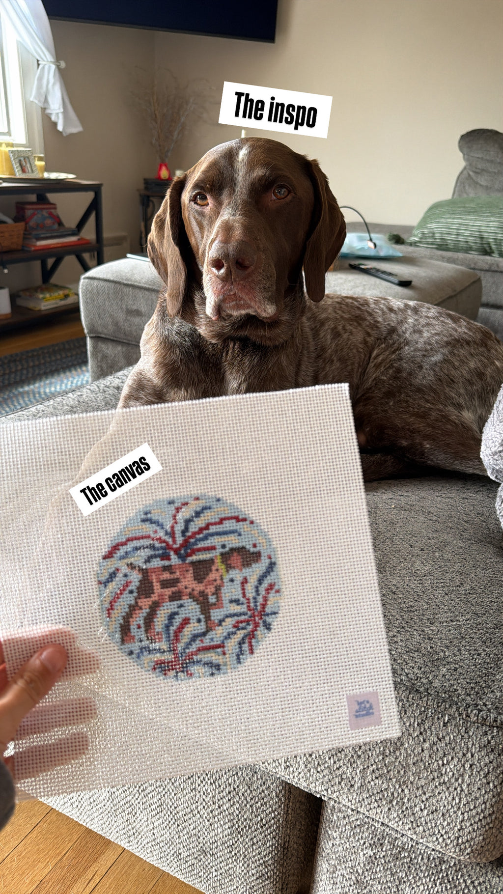 4th of July German Shorthaired Pointer Needlepoint Round on 13 Mesh | Handpainted GSP