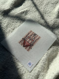 USA Bikini So Tini 18 Mesh Needlepoint Canvas | 4th of July Needlepoint Canvas