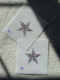 USA/ 4th of July Firework Star Needlepoint Canvas | 13 or 18 Mesh Beginner Canvas