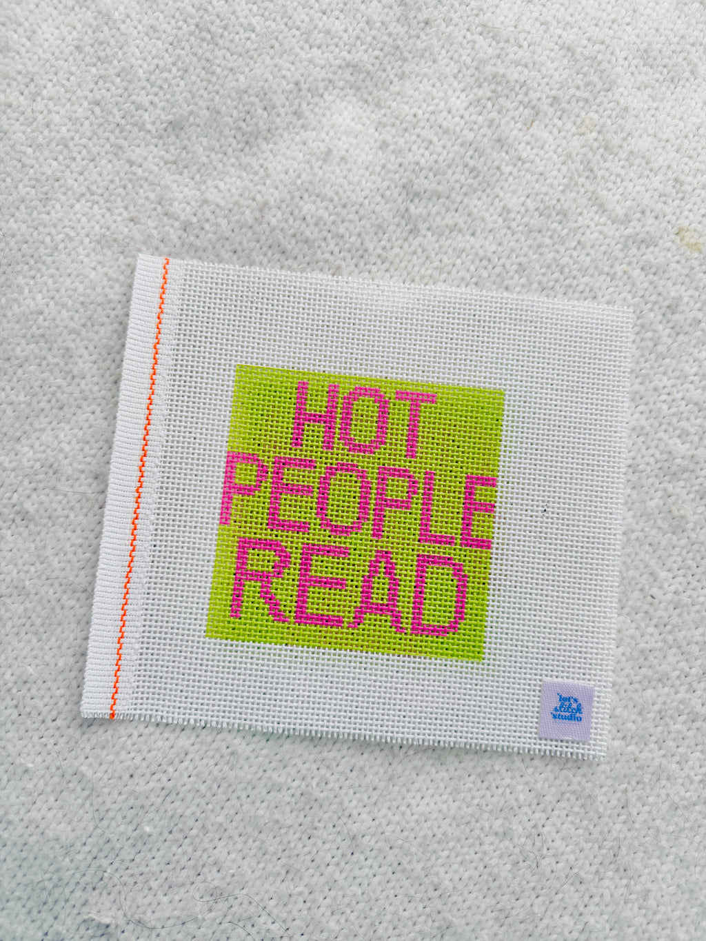 Hot People Read Pink & Green 13 Mesh Needlepoint Canvas