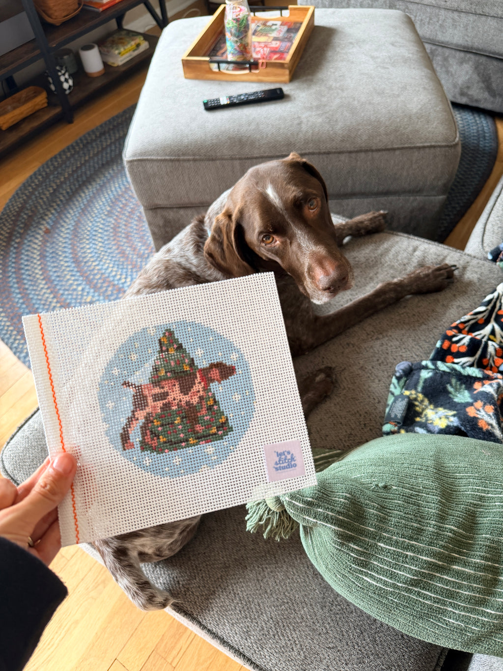 Christmas German Shorthaired Pointer 13 Mesh Canvas